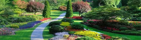 Классификация садово-парковых ландшафтов