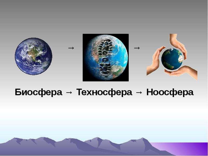Основы теории биосферы функции живого вещества ноосфера